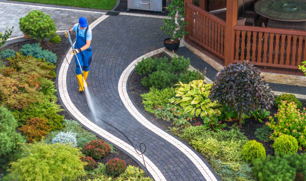 Best Pressure Washing Siding  in Ridgway, CO